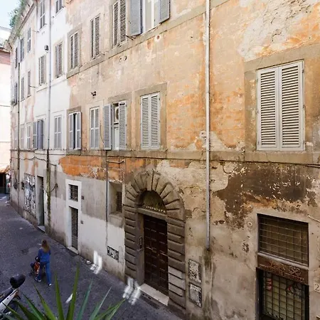 Navona 360 *